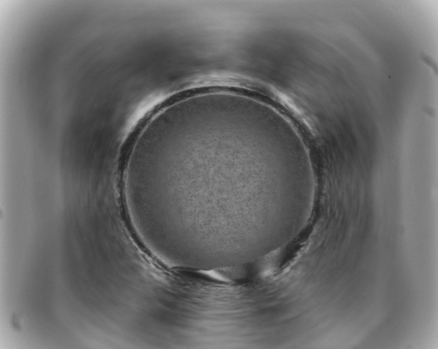 X0000096211312200801251026