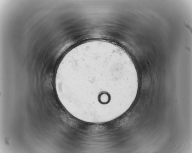 X0000096211314200801251026