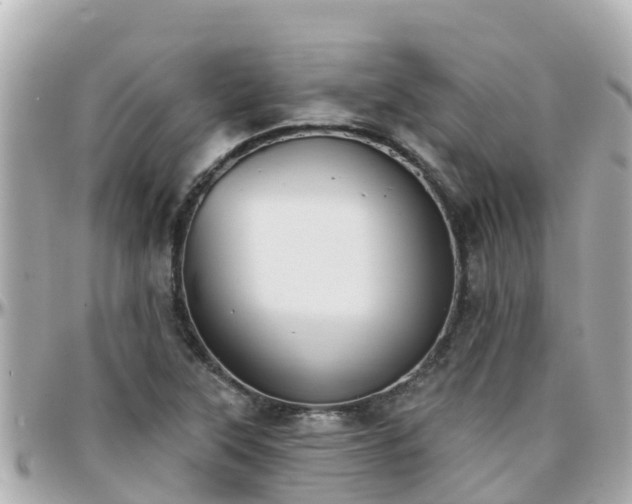 X0000096211315200801251026