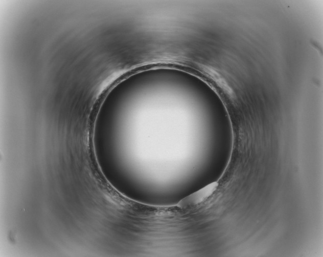 X0000096211316200801251026