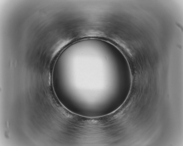 X0000096211317200801251026