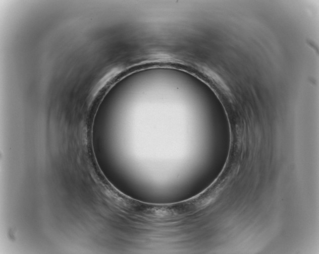 X0000096211318200801251026