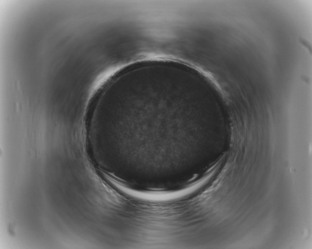 X0000096211319200801251026