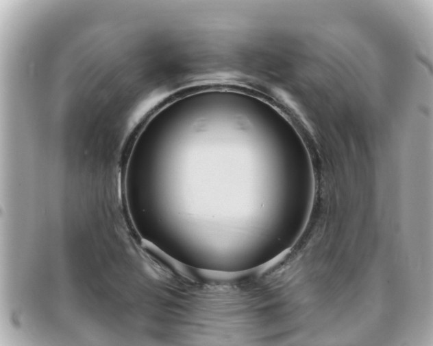 X0000096211320200801251026