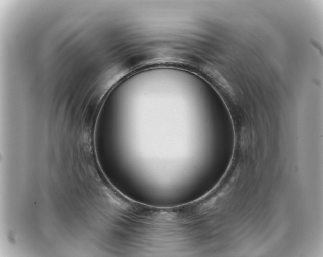 X0000096211321200801251026