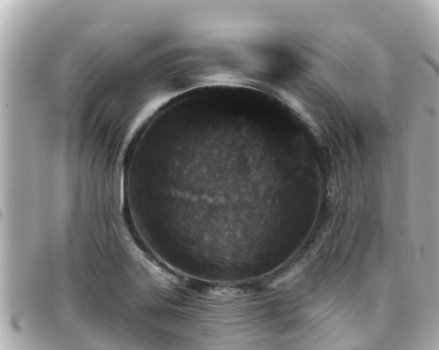 X0000096211323200801251026