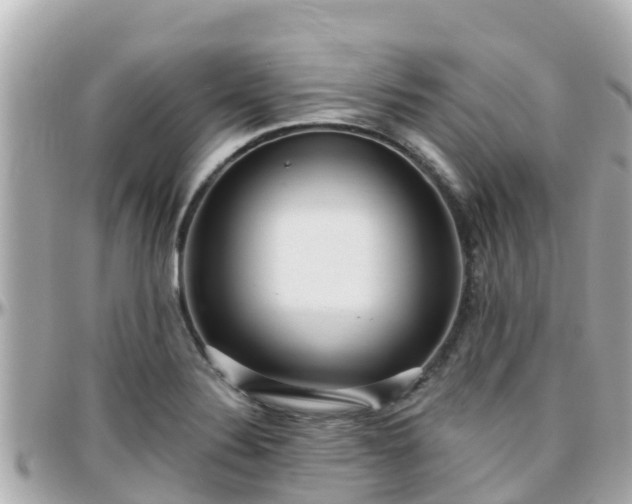 X0000096211324200801251026