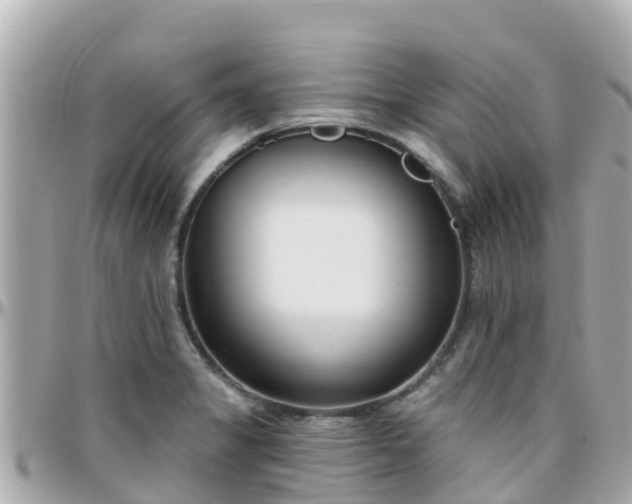 X0000096211325200801251026