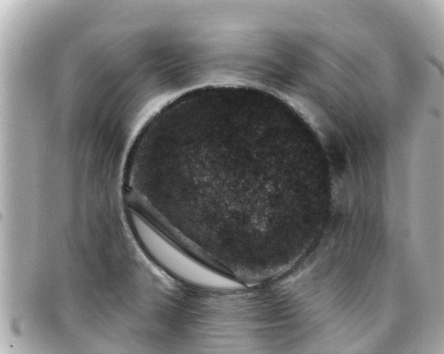 X0000096211327200801251026