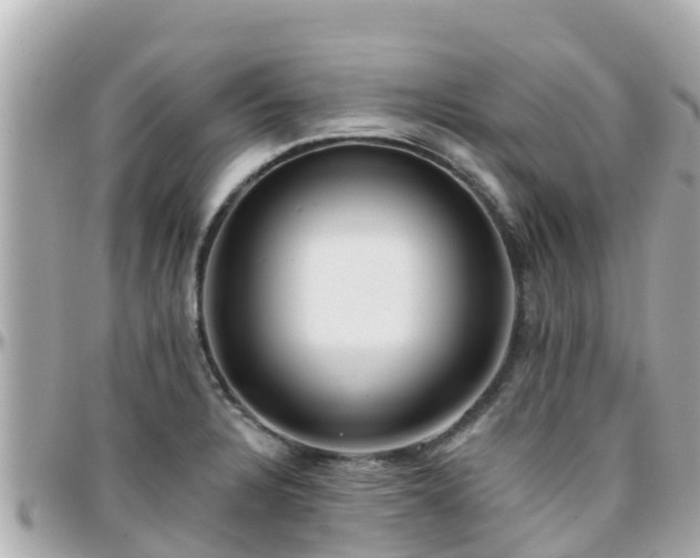 X0000096211328200801251026