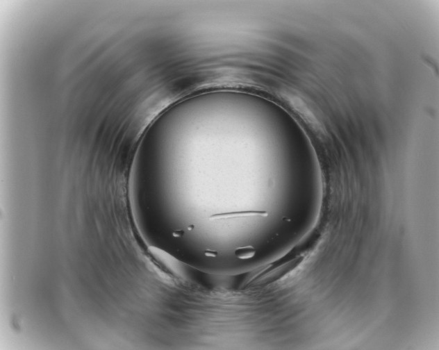 X0000096211329200801251026