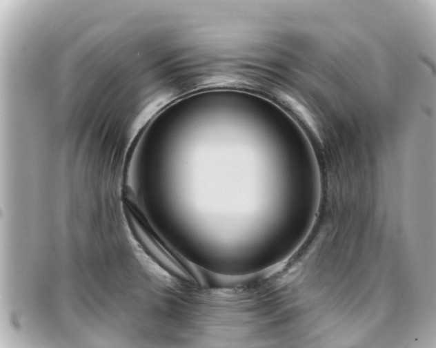 X0000096211330200801251026