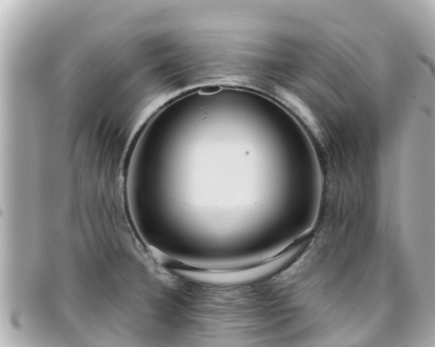 X0000096211332200801251026