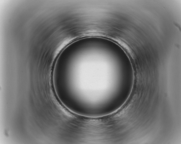 X0000096211333200801251026