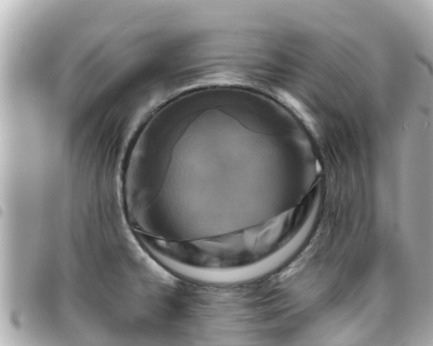 X0000096211334200801251026