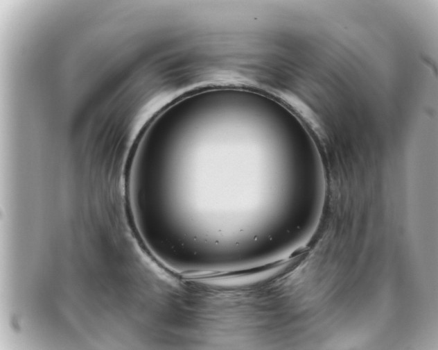 X0000096211335200801251026