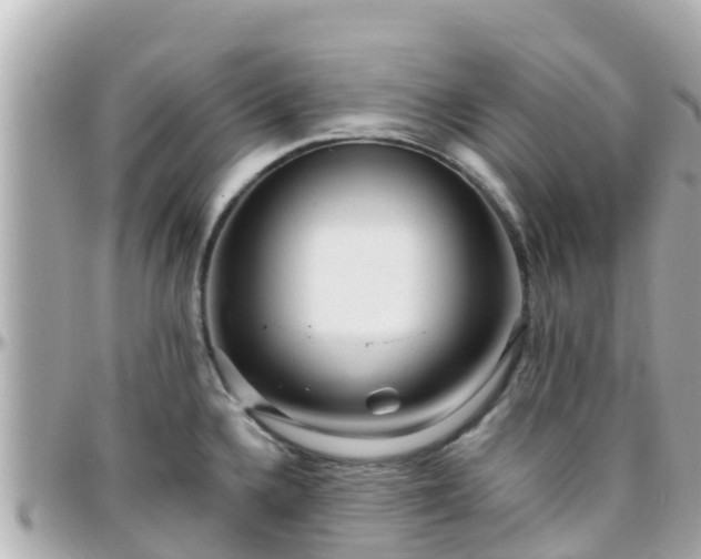 X0000096211336200801251026