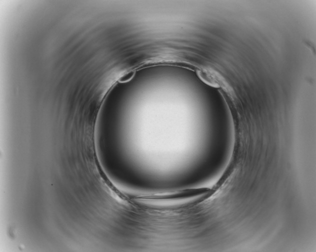 X0000096211337200801251026