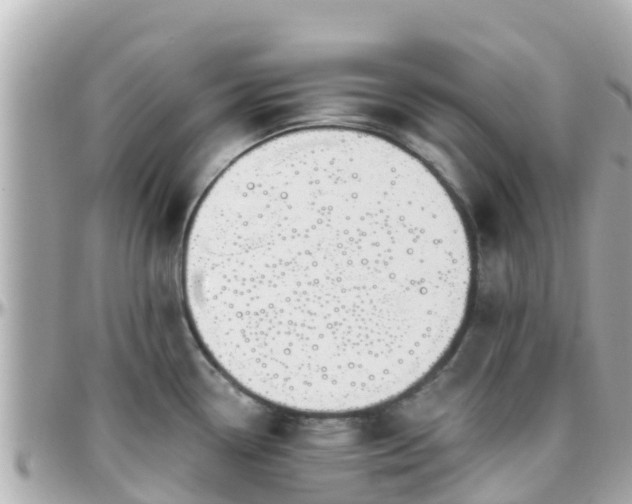 X0000096211338200801251026