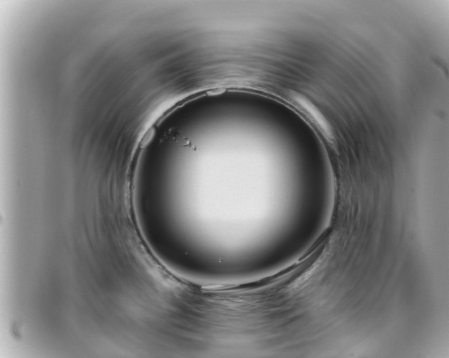 X0000096211340200801251026