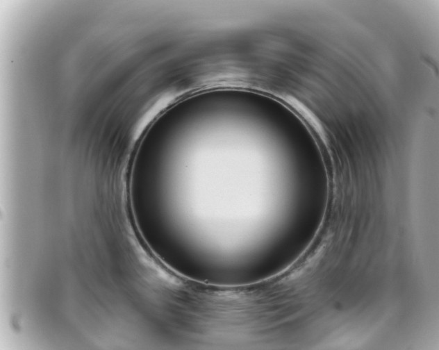 X0000096211341200801251026