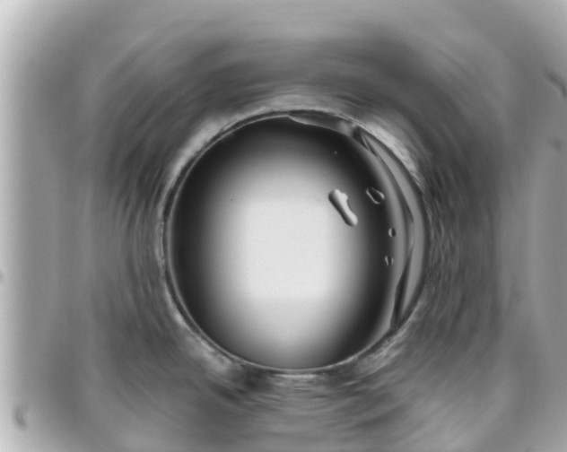 X0000096211342200801251026