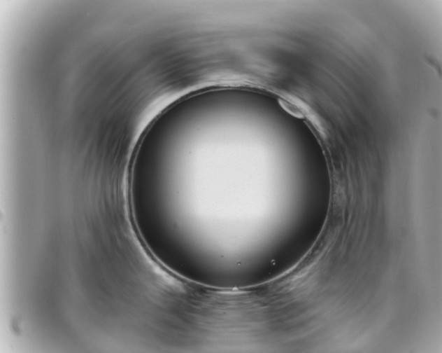 X0000096211343200801251026