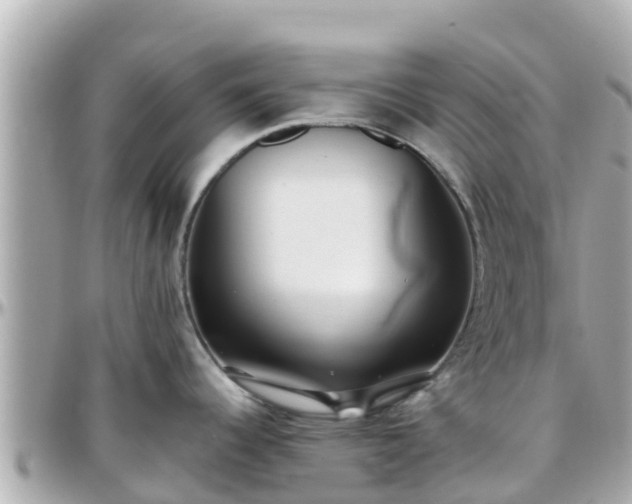 X0000096211344200801251026