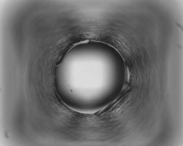 X0000096211345200801251025