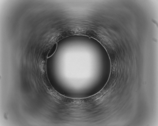 X0000096211346200801251025