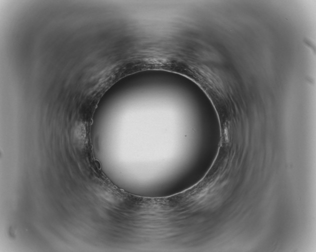 X0000096211347200801251025