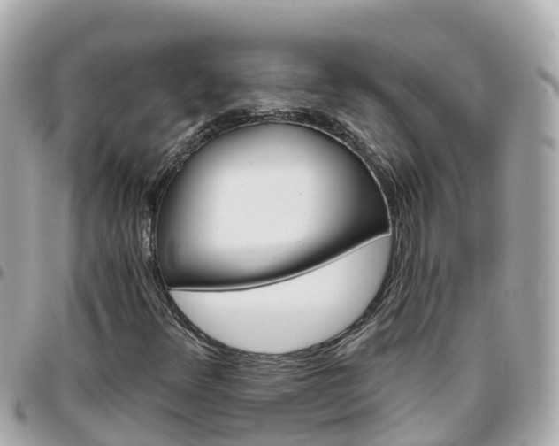 X0000096211348200801251025