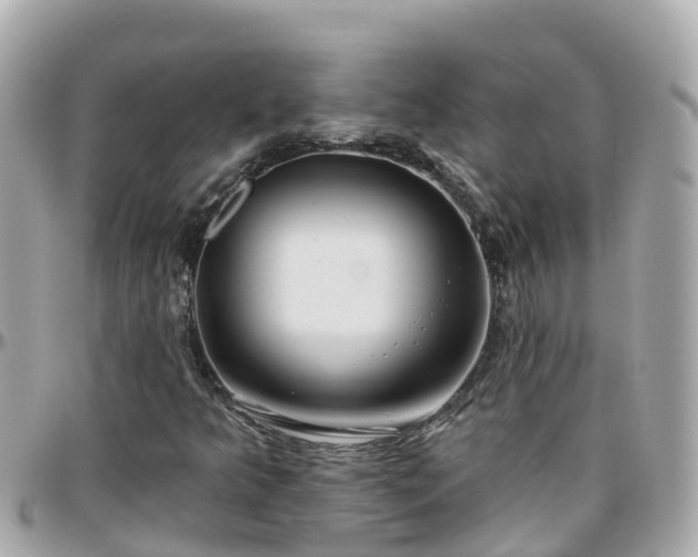 X0000096211349200801251025