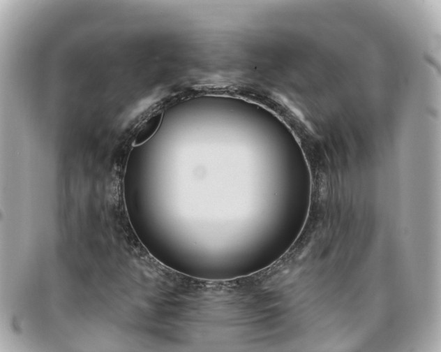 X0000096211350200801251025