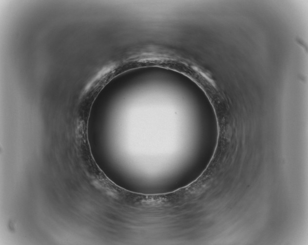 X0000096211351200801251025