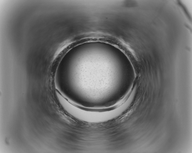 X0000096211352200801251025