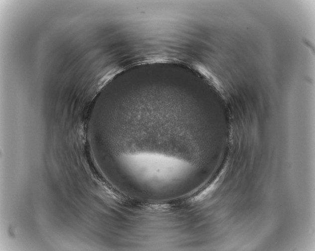 X0000096211353200801251025