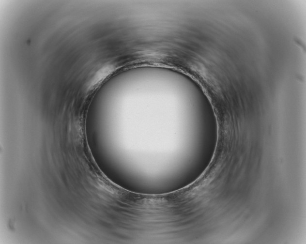 X0000096211354200801251025