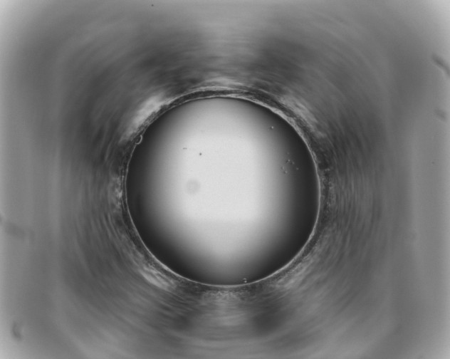 X0000096211355200801251025