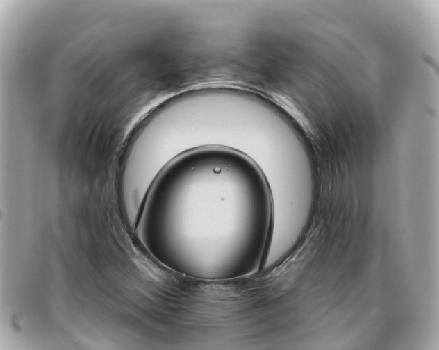 X0000096211356200801251025