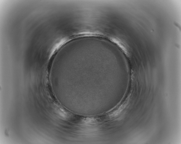 X0000096211357200801251025