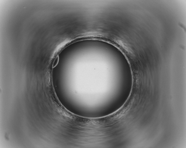 X0000096211358200801251025