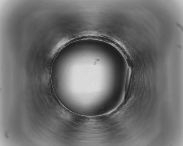 X0000096211359200801251025