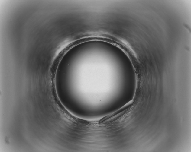 X0000096211360200801251025