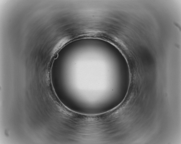 X0000096211362200801251025