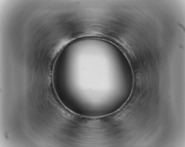 X0000096211363200801251025