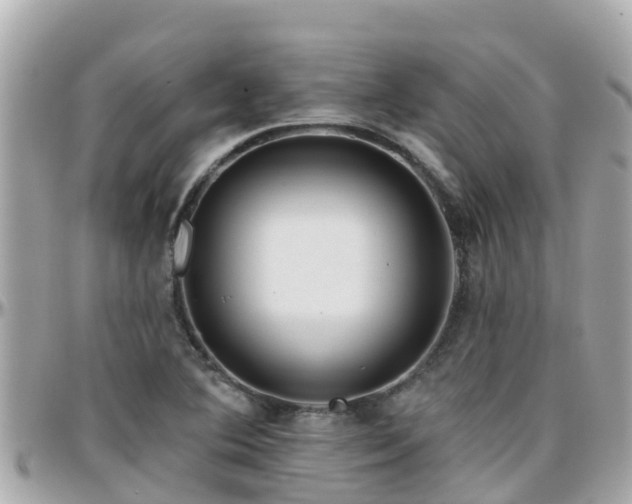 X0000096211364200801251025