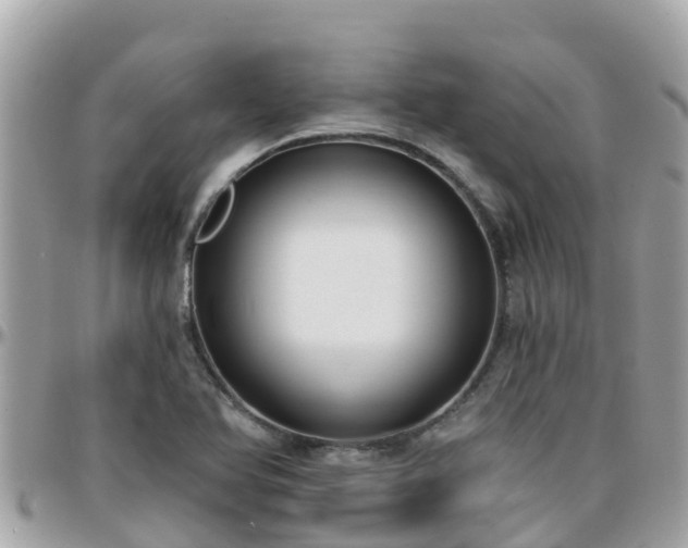 X0000096211366200801251025