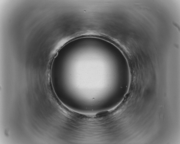 X0000096211367200801251025