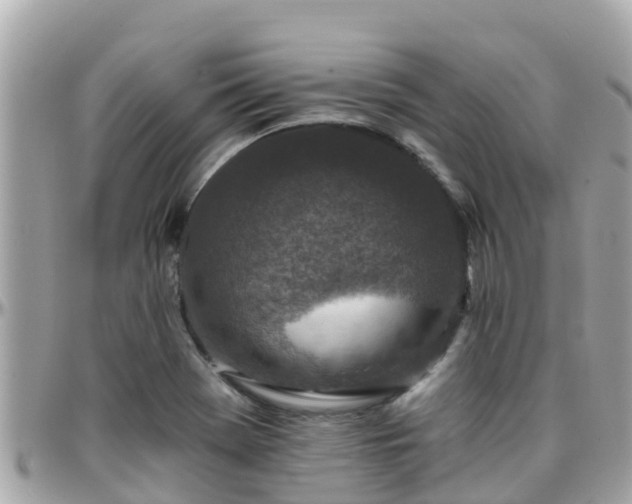 X0000096211369200801251025